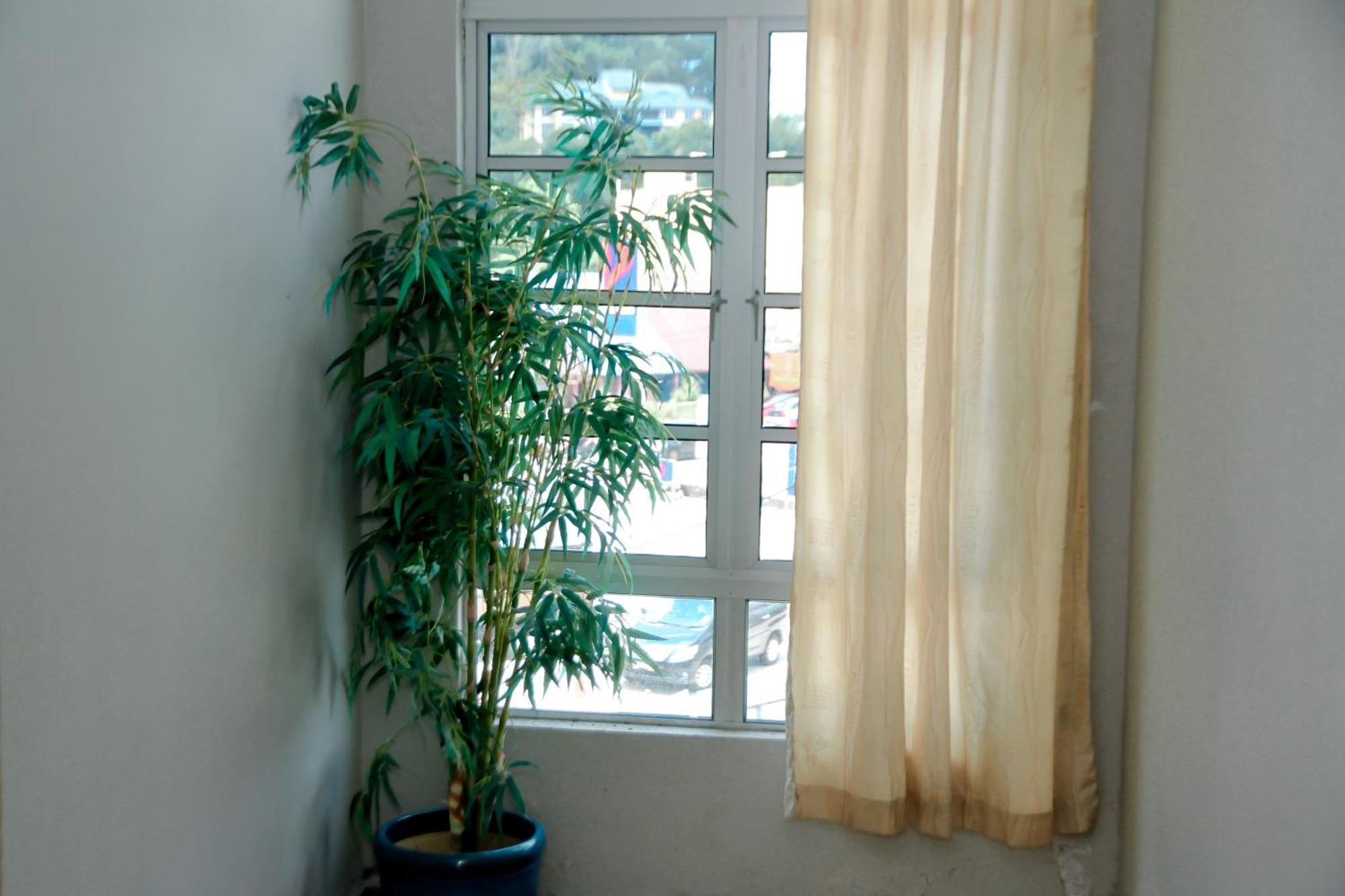 Hotel D View Mersing Esterno foto